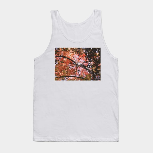 Autumn Branches Tank Top by B&K